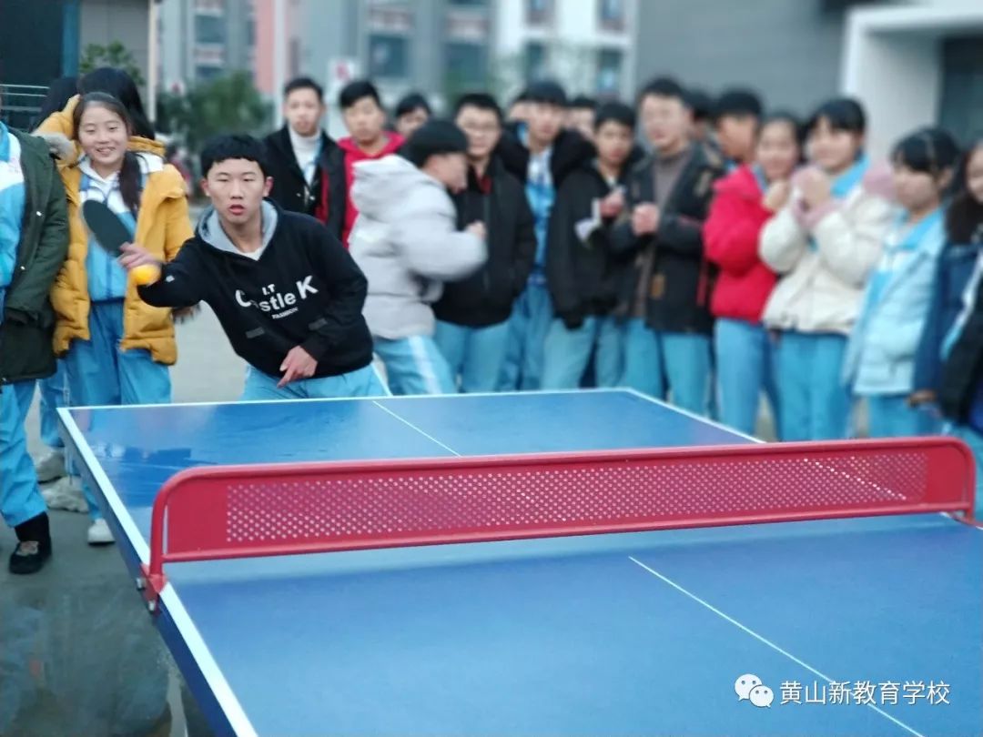 巷子深处的乒乓球盛宴,一场别开生面的竞技探索之旅!