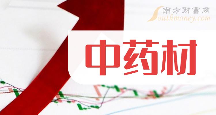 中药上市公司龙头股票,引领行业繁荣的领导者