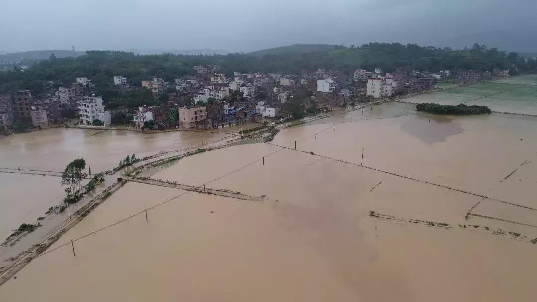 台风贝碧嘉最新动态,探索自然美景的轻松旅行之旅