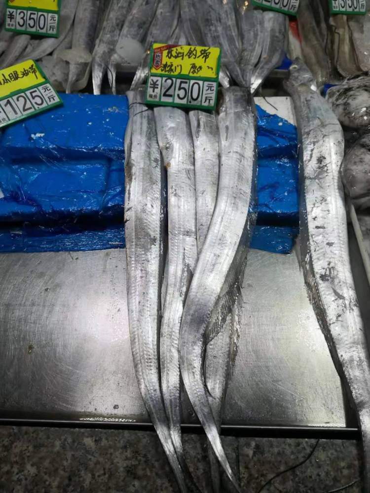 带鱼价格实时动态及市场走势分析与预测