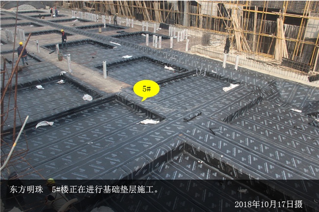 安阳东方明珠最新动态揭秘