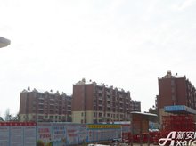 中兴文华园最新房价信息汇总,房价动态一览🏠💼