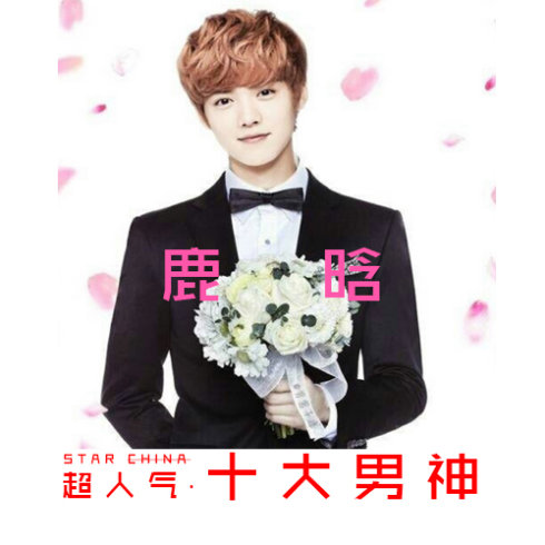 中国明星排行榜多元视角下的观点阐述