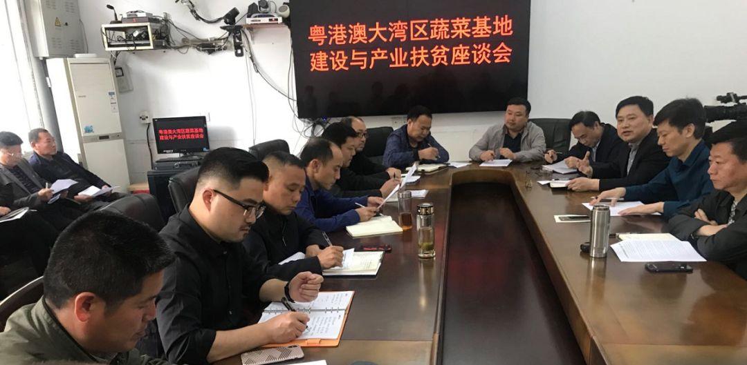 国有控股上市公司名单，时代标杆与引领者