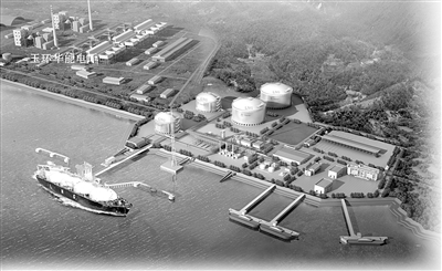 石油龙昌最新动态,心灵与自然的完美交融之旅