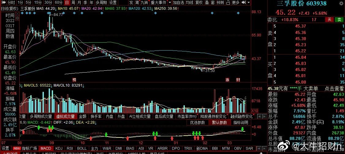 三孚股份股票,小巷深处的投资宝藏,探寻股市明珠之旅