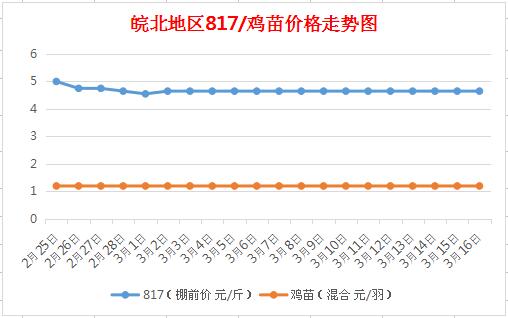 皖北麻鸡,小巷美食之旅与市场价格探秘