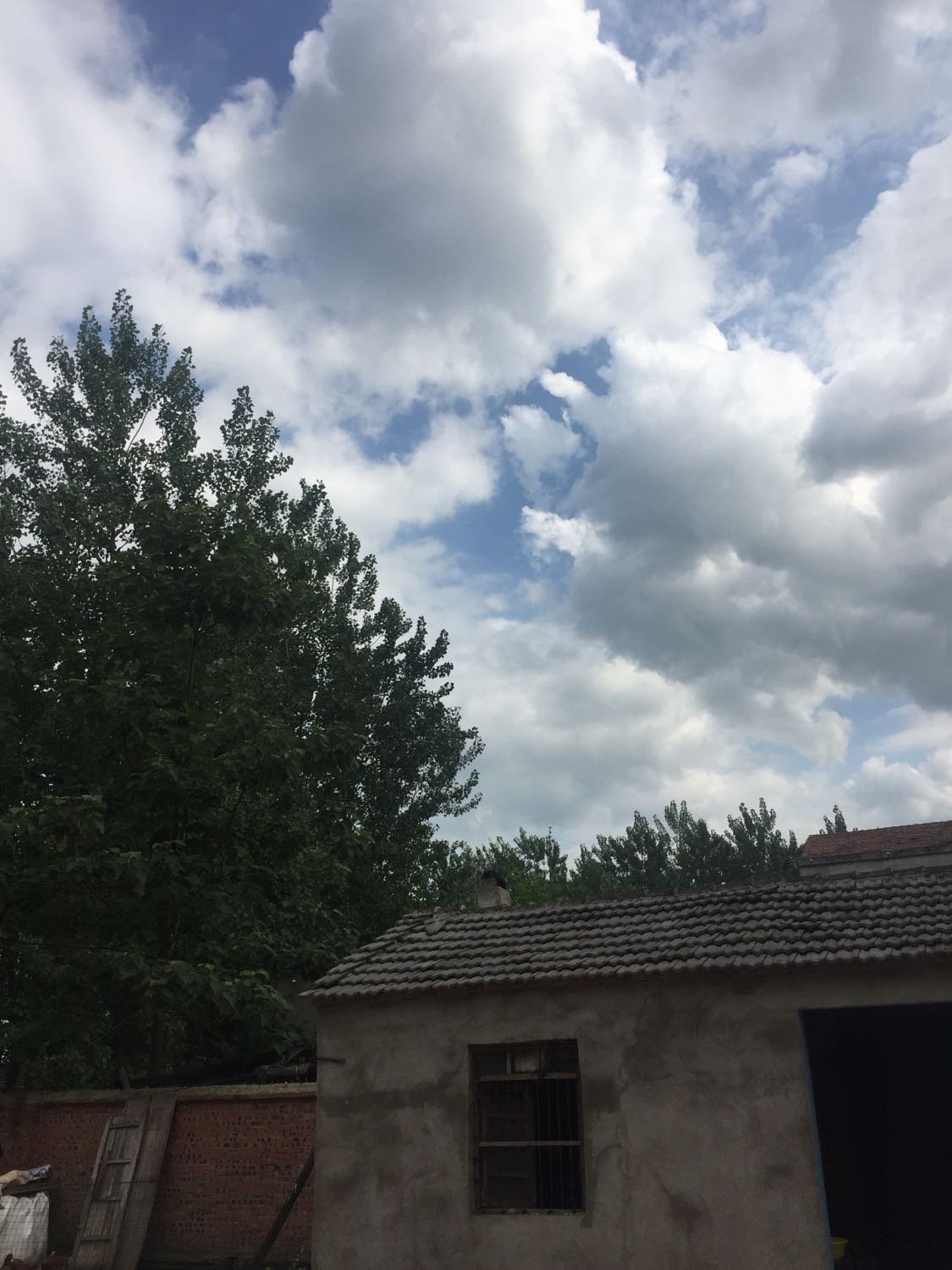 科技引领未来,怀远天气预报酷炫来袭!