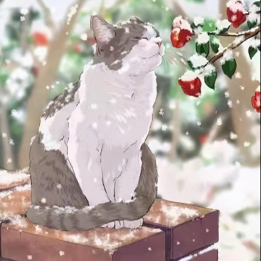 自然之旅中的心灵鼓舞,比赛加油,寻找内心的平和之境