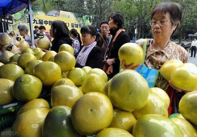 今年柚子价格行情探秘,小巷中的柚子宝藏