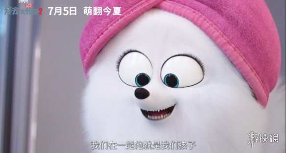 揭秘最新爱宠魅力,无法抗拒的萌宠大集结