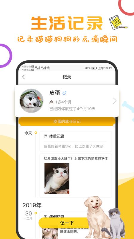 揭秘最新爱宠魅力,无法抗拒的萌宠大集结