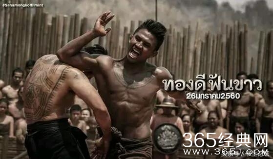 泰拳电影,热血荣耀的热血交融之旅