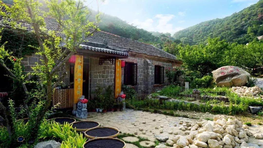 登山比赛方案,登山比赛方案