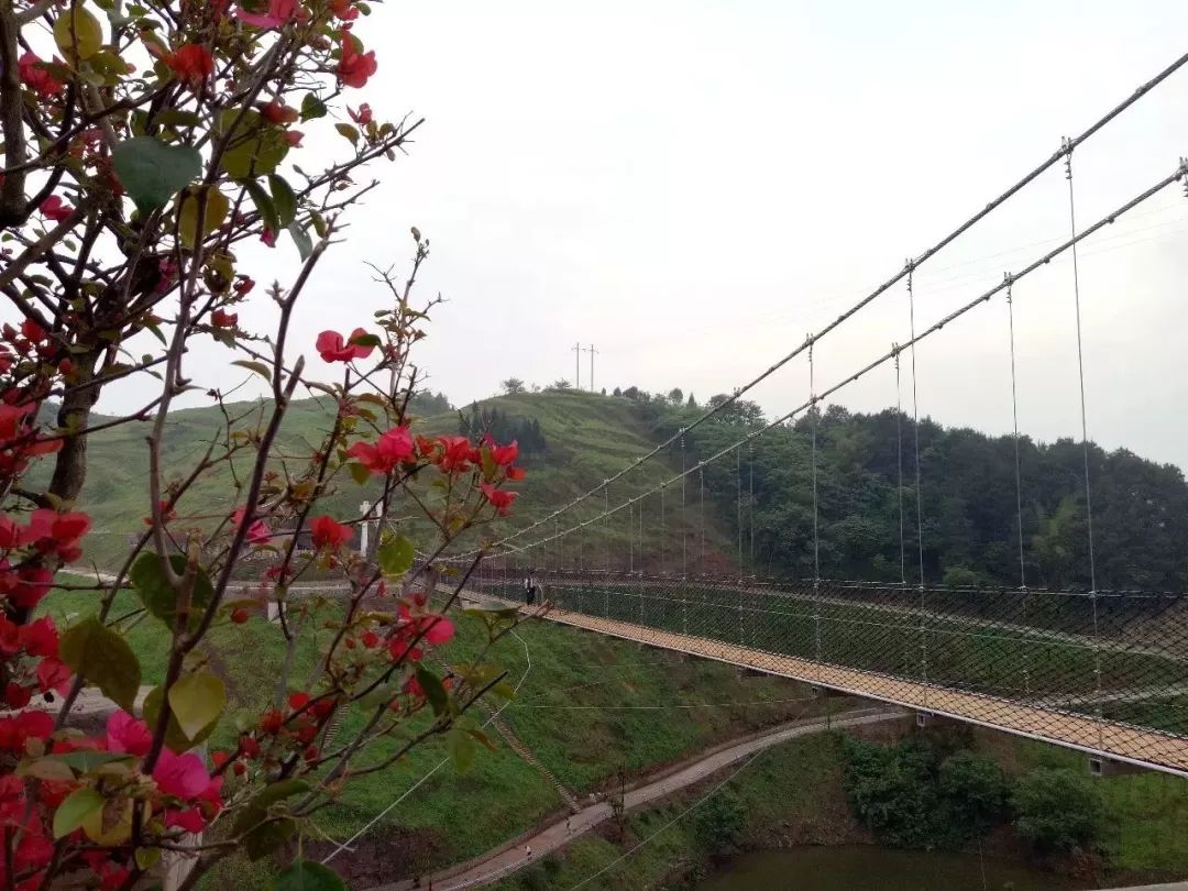 巴南双河口最新动态,自然美景探索之旅启程