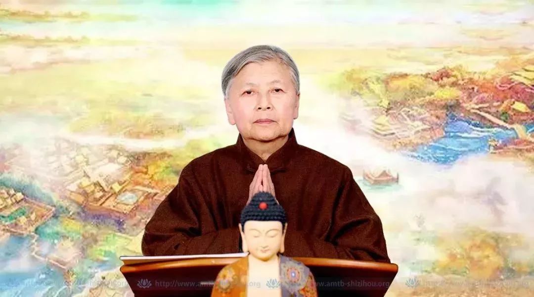 刘素云最新视频直播深度探讨与解析要点速递