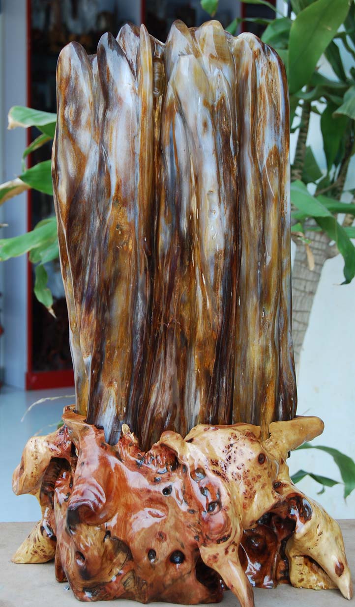 最新树化玉价格揭秘,小巷深处的神秘宝藏探秘之旅