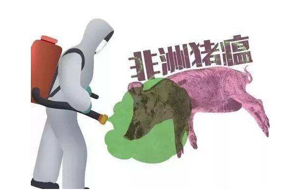 非洲猪瘟最新进展，科技智能助力畜牧业新时代的护航