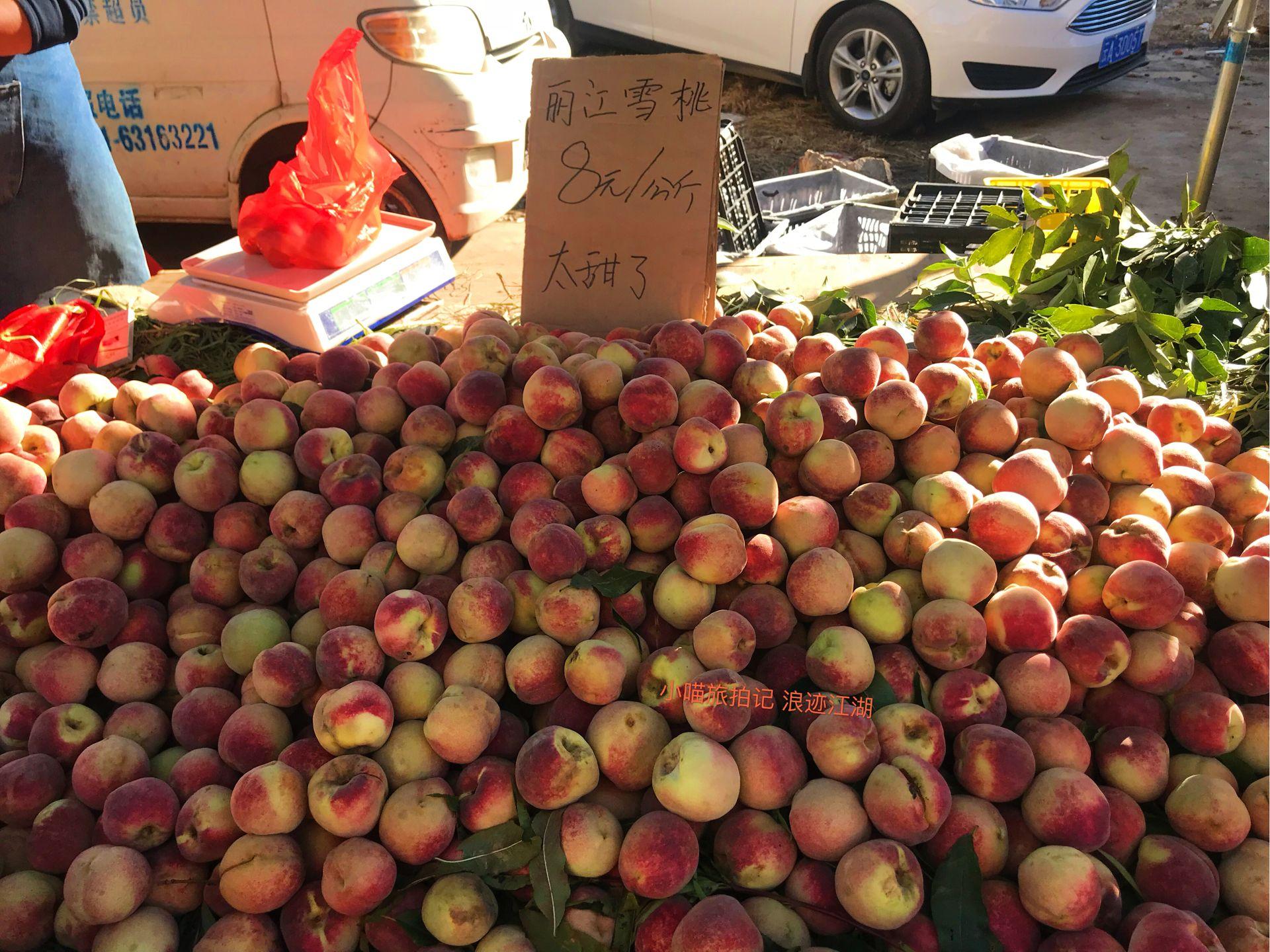 价格写作指南,如何正确撰写价格信息及详细步骤说明