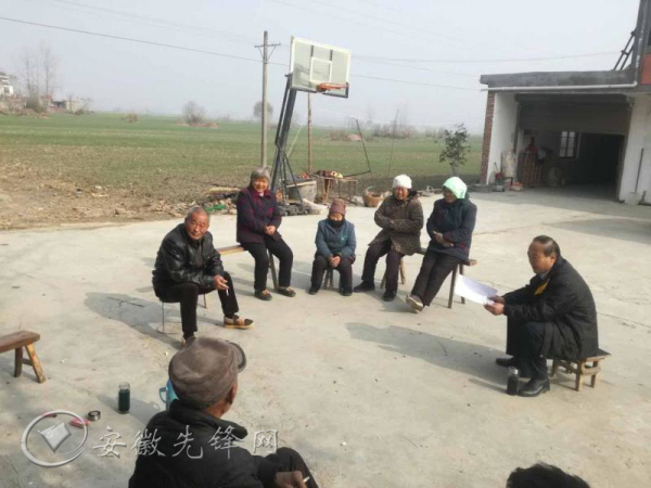 安徽利辛蓬勃发展,时代背景下的新动态