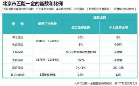 上市公司五险一金详解,步骤指南与注意事项