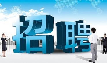 高阳招聘信息最新动态及小巷特色小店揭秘