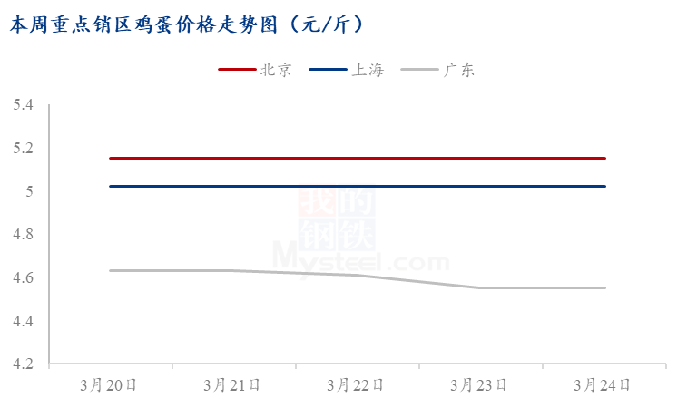 近期鸡蛋价格动态,近期鸡蛋价格动态,一场心灵与自然的旅行