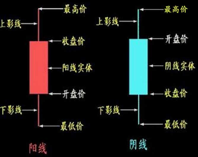停车场服 第239页