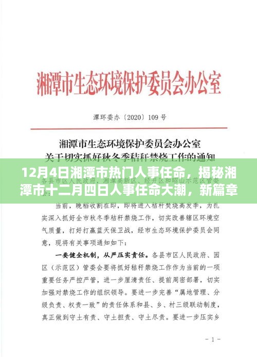 湖南人事变动重磅更新，最新消息一览无余！