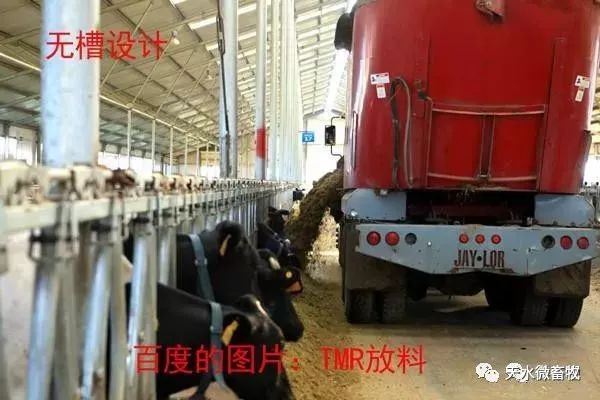 最新牛槽设计图及其制作步骤指南