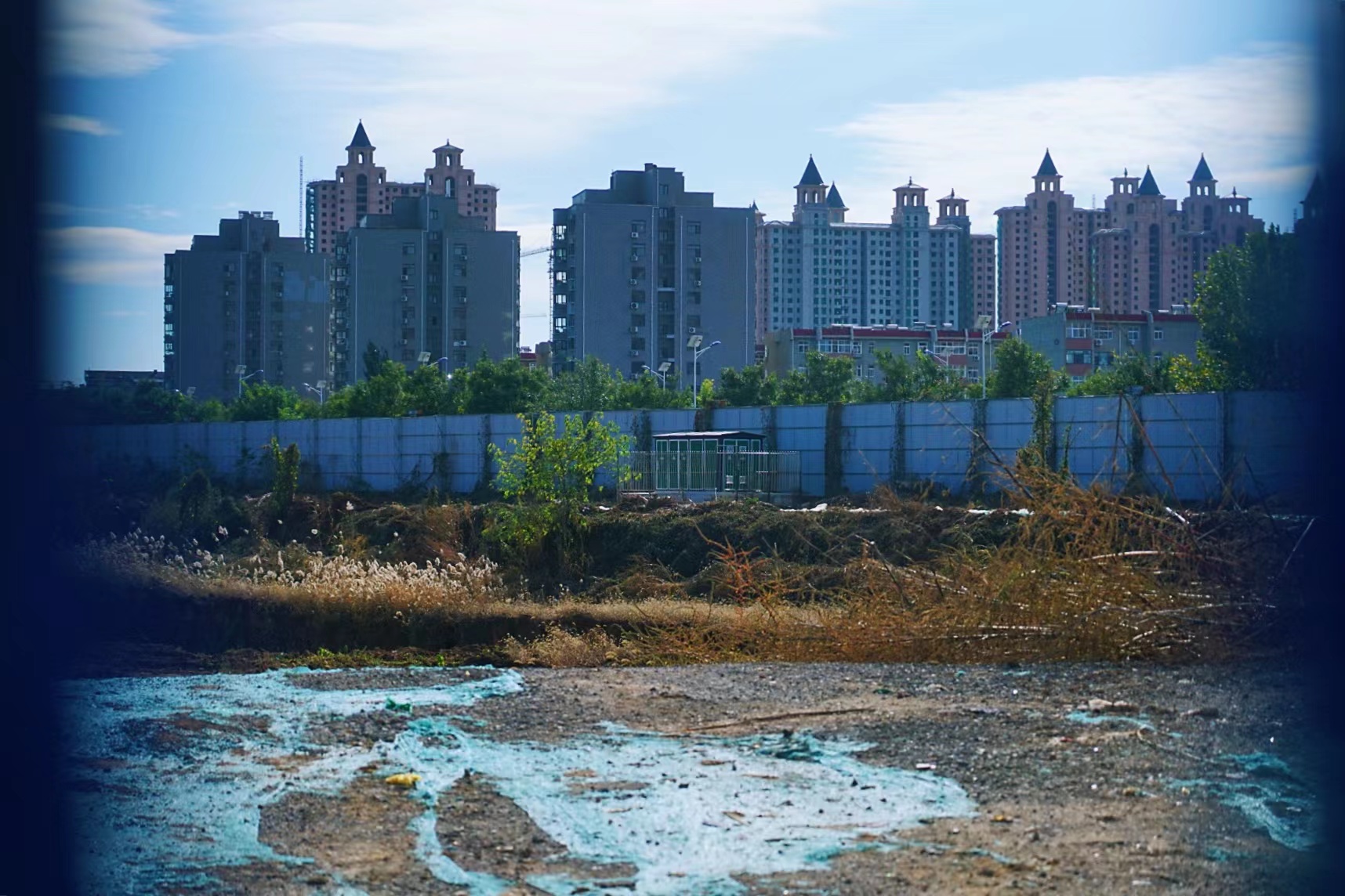 西湖一品最新资讯,小巷深处的独特风味——探寻隐藏的美食宝藏