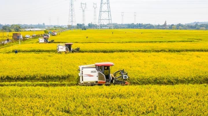 最新收割机价格概览,收获之旅与自然美景的完美结合