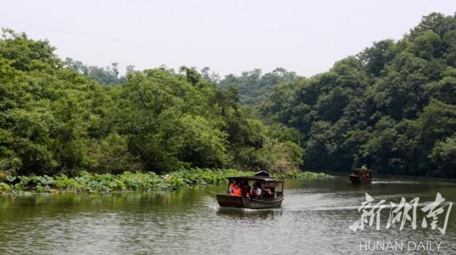 衡南莲湖湾最新规划图揭秘,科技重塑生活,展现崭新未来