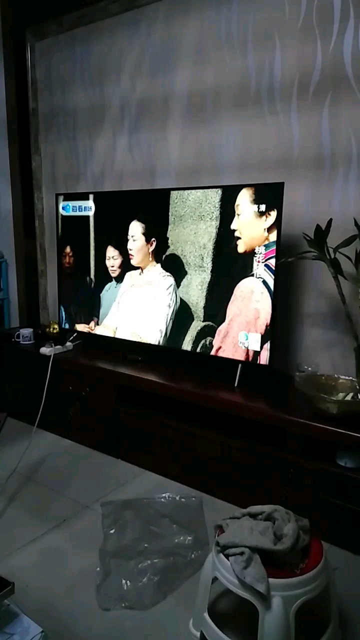 科技与艺术的融合,精彩电视娱乐的视觉盛宴