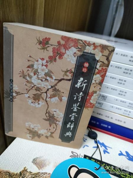 探寻现代诗歌魅力之旅,赏新诗韵