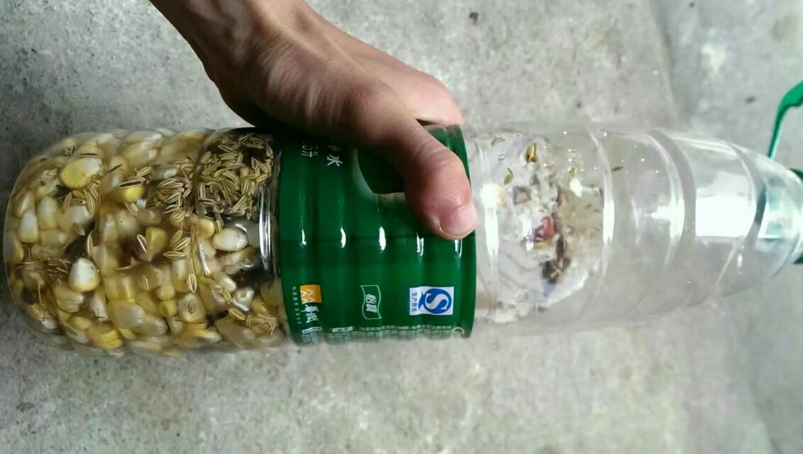 钓鱼比赛，探索自然美景的探险之旅