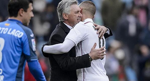 明星马匹,培养与照顾马匹的技能和步骤指南