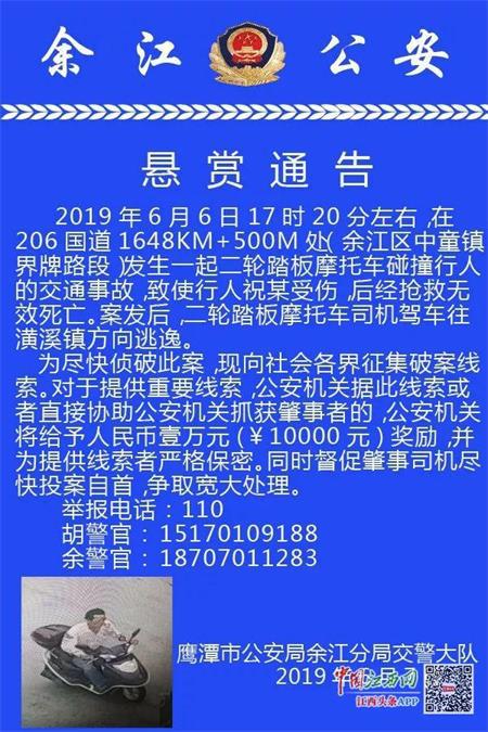 最新悬赏信息及平台动态更新速递