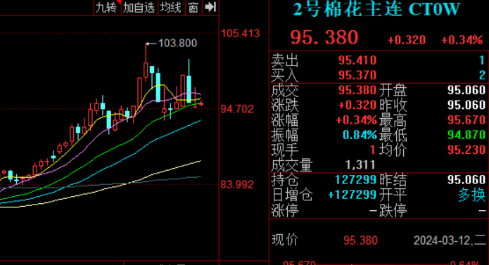 棉花股票与小巷探秘,独特小店之旅的揭秘
