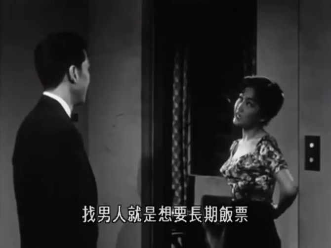 野玫瑰之恋最新章节探秘,浪漫之恋的绽放与探索