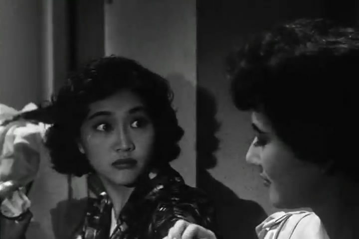 野玫瑰之恋最新章节探秘,浪漫之恋的绽放与探索