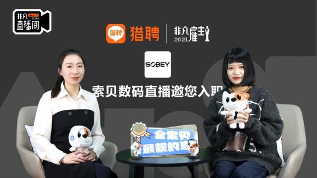 最新大副职位招聘,开启温馨的航海之旅