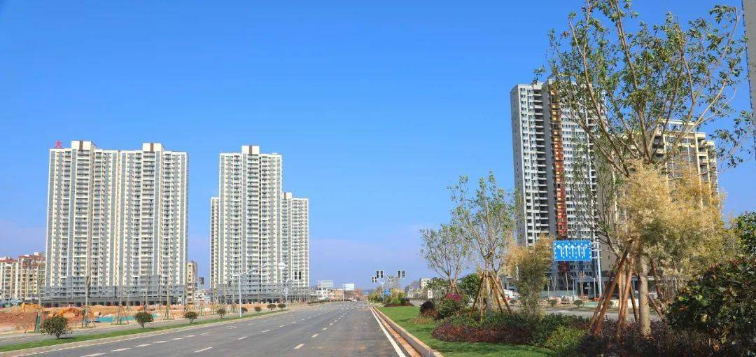 南康区唐江最新科技资讯,智能新品引领未来生活