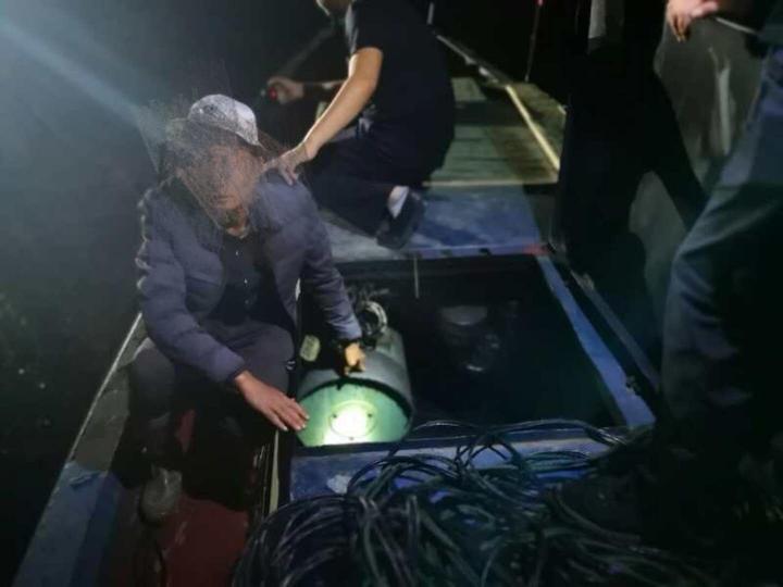 鱼种价格查询与比较指南,教你如何轻松获取最优价格!