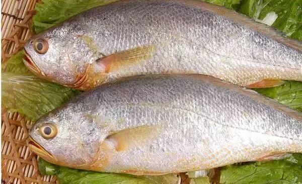 鱼种价格查询与比较指南,教你如何轻松获取最优价格!