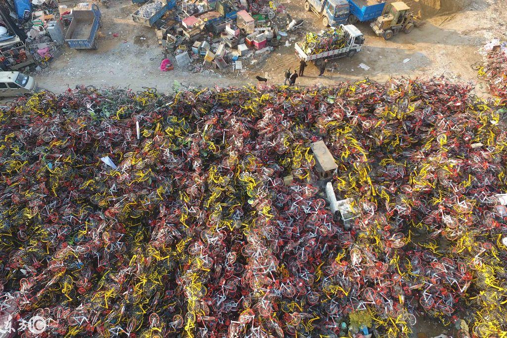 共享单车优惠码最新更新通知