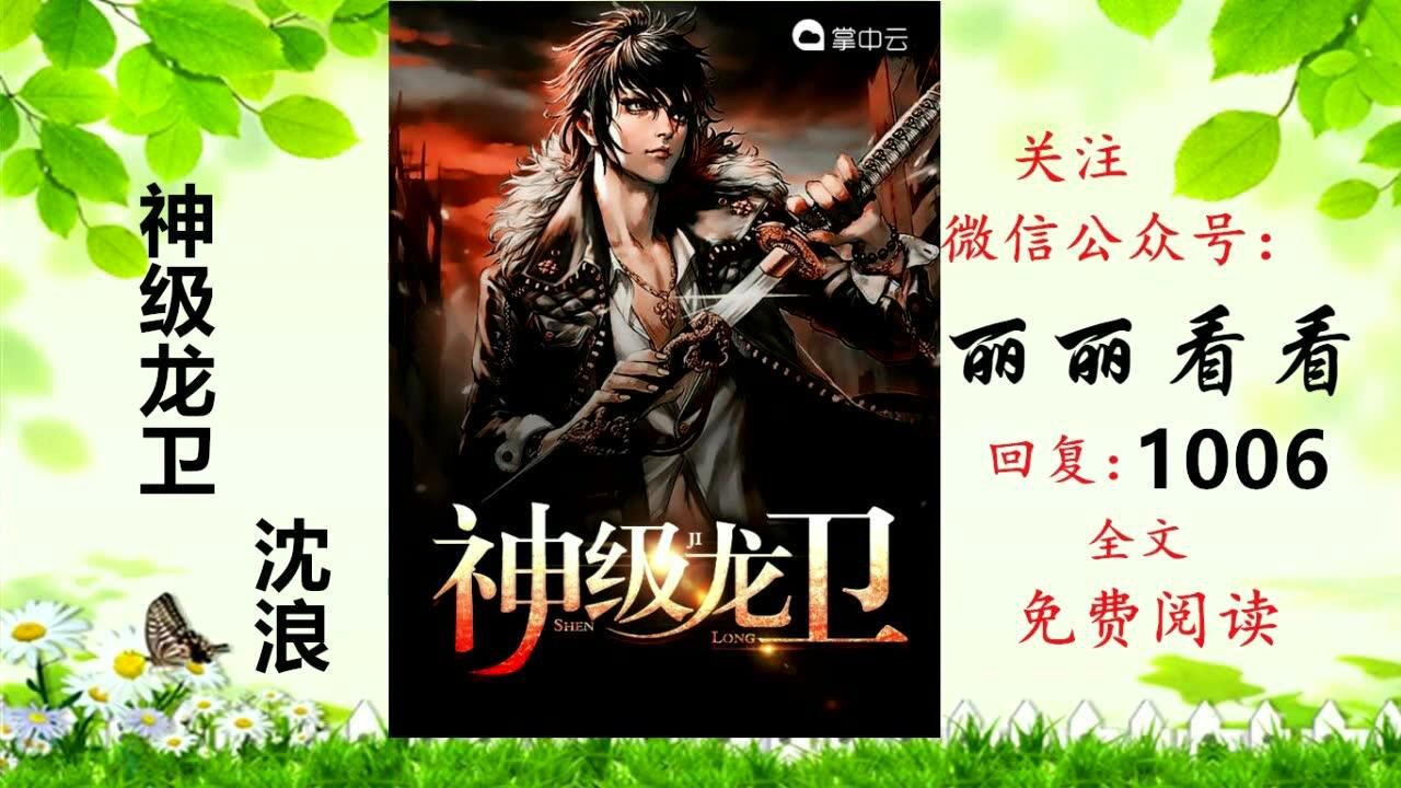 龙卫巅峰章节更新回顾,影响与展望