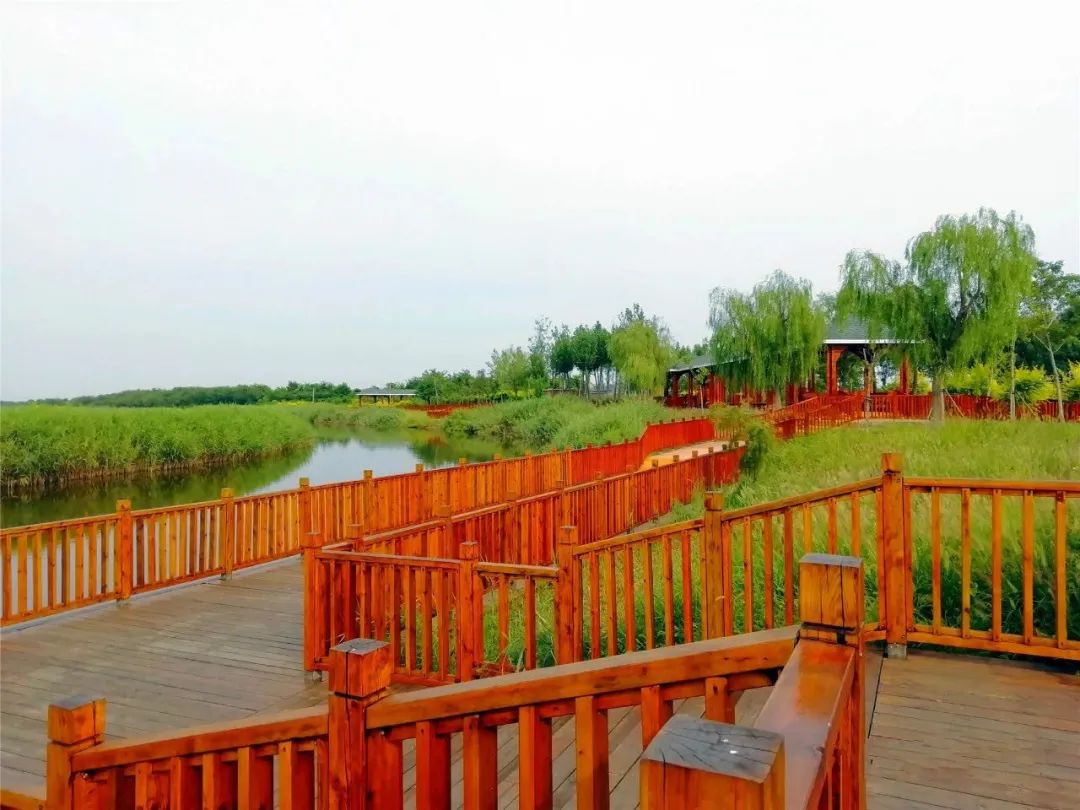 官港森林公园最新资讯,科技与自然的完美融合的高科技体验之旅