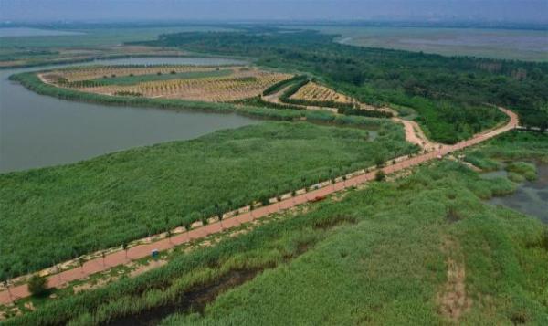 官港森林公园最新资讯,科技与自然的完美融合的高科技体验之旅