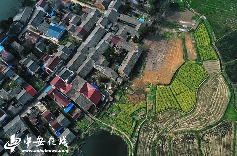 桐城练潭最新动态及观点深度解析